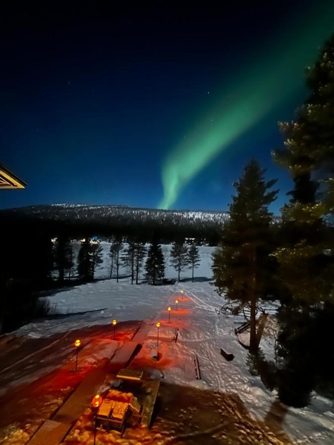 Scandi House ليفي المظهر الخارجي الصورة